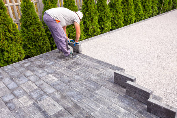 Best Local Driveway Pavers  in Clearwater, FL